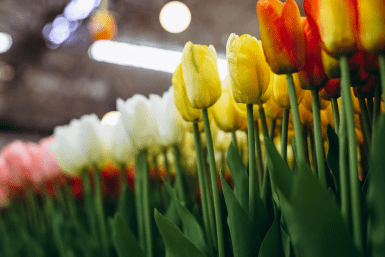 Итоги дня: ЧВК "Редан", книги меняют жизнь и самые необычные подарки