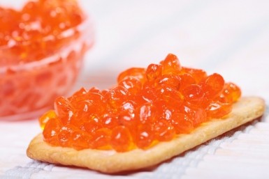 Итоги дня: "Конфликтный" тигр,  уникальные дроны и единое пособие