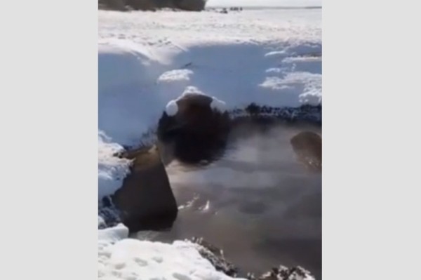 Сброс токсичных отходов в Амур зафиксировали в Хабаровске