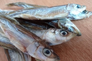 Итоги дня: триумф хоккеистов, погибли в пожаре, "Серебряная корюшка" и подарки на 8 марта