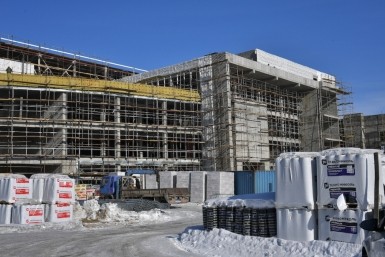 Итоги дня: дело о 53 млн, доброволец ищет девочку, спасти от мусора 10 собак и жеребёнок