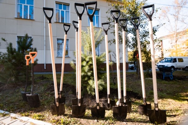 Мэр Хабаровска присоединился к краевому субботнику