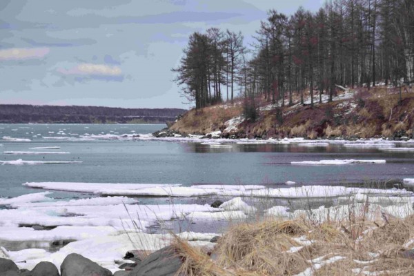Лучшие фотографии Хабаровского края за неделю из соцсетей