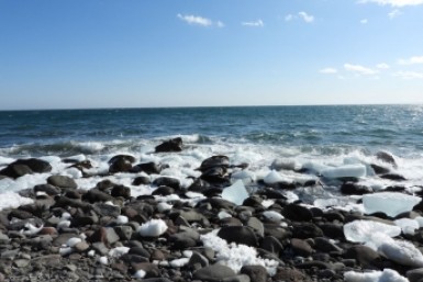 Итоги дня: детский технопарк, еще один дом в "Березках" и краевой субботник