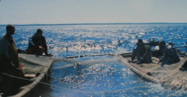 Предложения АСРФ по поправкам в Правила рыболовства поддержаны ДВНПС