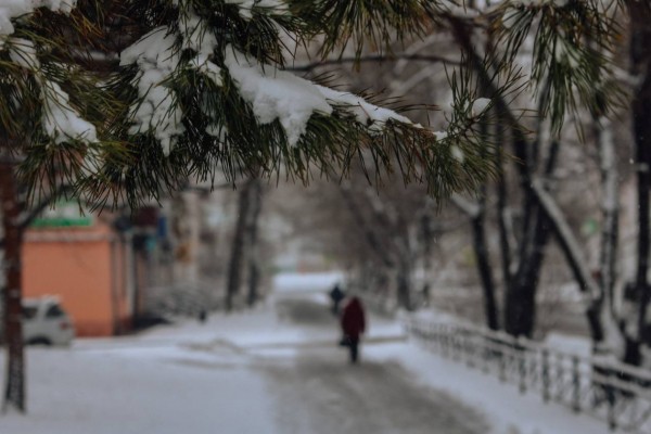 Лучшие фотографии Хабаровского края за неделю из соцсетей
