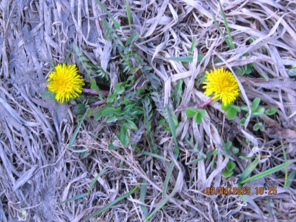 Лучшие фотографии Хабаровского края за неделю из соцсетей