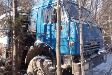 Итоги дня: провалился под лед, грандиозная стройка бассейна и гибель амурского тигра