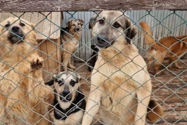 Итоги дня: пожар уничтожил школу, пророчества Жириновского и угасающий город