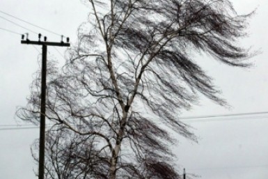 Итоги дня: ждём непогоду, открыта навигация, день безопасности и интим не предлагать