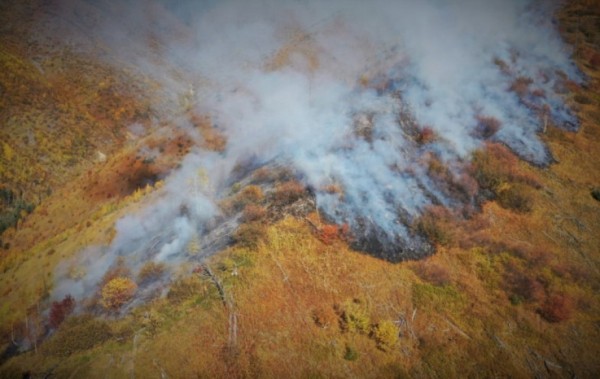 Первые в этом сезоне лесные пожары ликвидированы в Хабаровском крае Первые в этом сезоне лесные пожары ликвидированы в Хабаровском крае