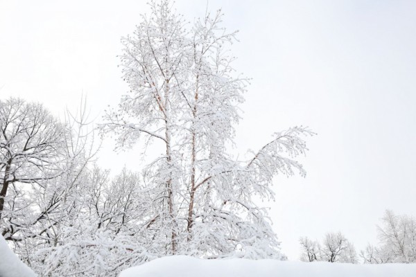 Лучшие фотографии Хабаровского края за неделю из соцсетей