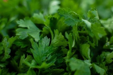 Итоги дня: 11 лет строгача, школа юных геологов и таинственное исчезновение