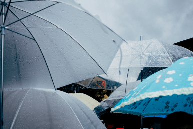 Итоги дня: 11 лет строгача, школа юных геологов и таинственное исчезновение