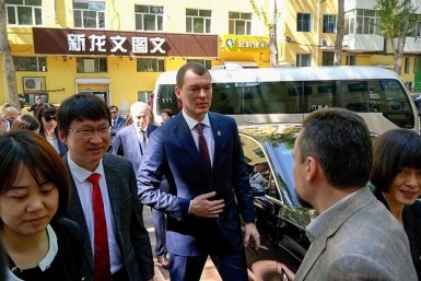 Итоги дня: медведь разорвал машину, асфальт провалился под авто, экс-госслужащего на мороз