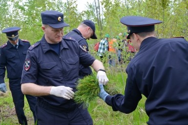 Итоги дня: "Сад Памяти", боксеры из 12 стран и похититель медикаментов Итоги дня: "Сад Памяти", боксеры из 12 стран и похититель медикаментов