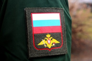 Итоги дня: медведь разорвал машину, асфальт провалился под авто, экс-госслужащего на мороз