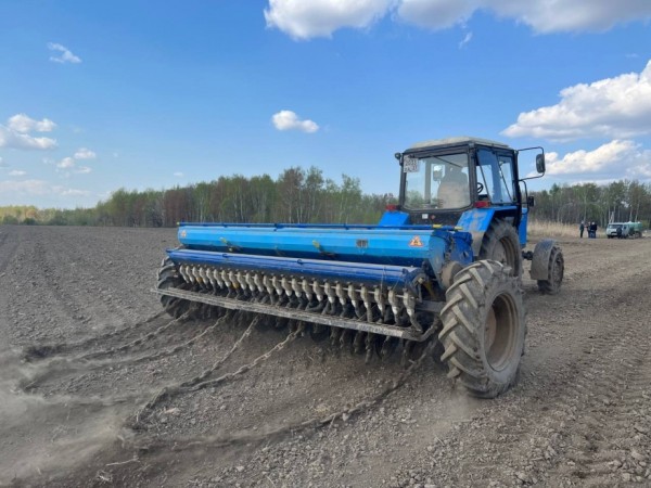 Сев ранних зерновых завершается в Хабаровском крае