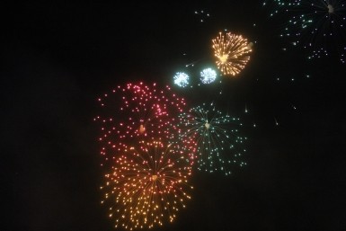 Итоги дня: отравились фастфудом, закон о животных, отгремит салют, грядут паводки на Амуре