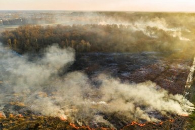 Итоги дня: актриса из Комсомольска, подчищающая иммунизация, два рекорда Дунина