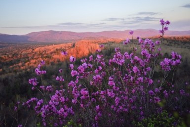 Чем заняться на длинных "Победных" выходных 2023 в Хабаровске