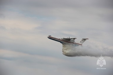 Итоги дня: питьевой брак, трупы в пожаре, "черный" оружейник и штрафы  за самовыгул собак