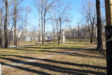 Итоги дня: питьевой брак, трупы в пожаре, "черный" оружейник и штрафы  за самовыгул собак