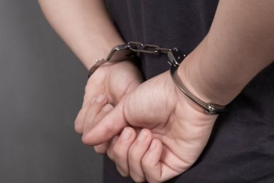 Итоги дня: отравились фастфудом, закон о животных, отгремит салют, грядут паводки на Амуре