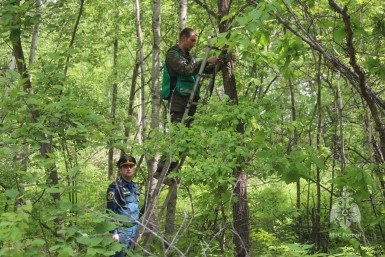 Итоги дня: фавориты праймериз, современные технологии и самый массовый экзамен