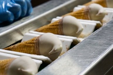 Итоги дня: "Сад Памяти", боксеры из 12 стран и похититель медикаментов Итоги дня: "Сад Памяти", боксеры из 12 стран и похититель медикаментов