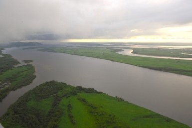 Итоги дня: отравились фастфудом, закон о животных, отгремит салют, грядут паводки на Амуре