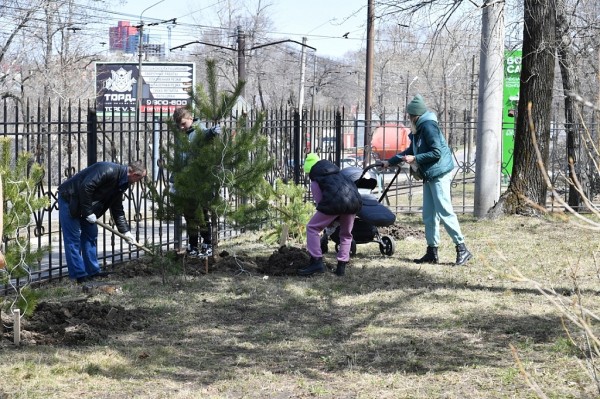 Сергей Кравчук принял участие в акции "Подари ребёнку дерево"