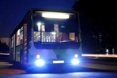 Итоги дня: отравились фастфудом, закон о животных, отгремит салют, грядут паводки на Амуре