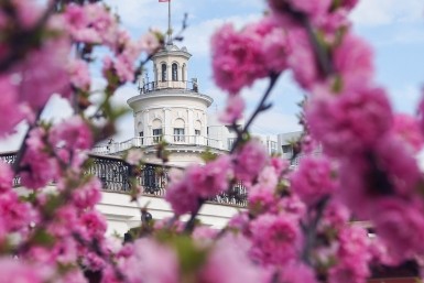 Итоги дня: "Сад Памяти", боксеры из 12 стран и похититель медикаментов Итоги дня: "Сад Памяти", боксеры из 12 стран и похититель медикаментов