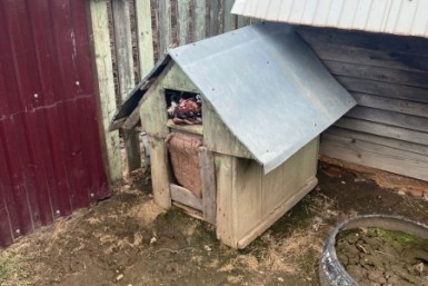 Итоги дня: поезд "Победа", облако пыли, обокрали самолёт, запрет БВС и будка с наркотиками