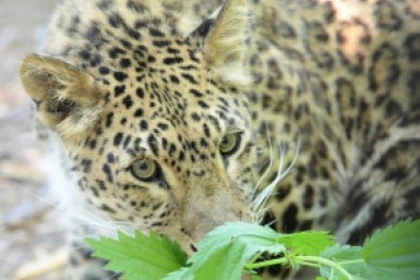 Чем заняться на длинных "Победных" выходных 2023 в Хабаровске