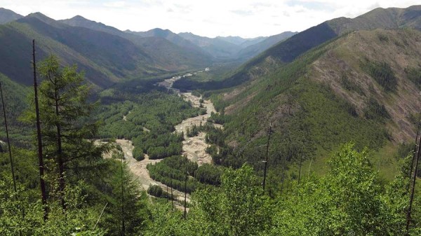 Режим ЧС ввели на территориях &laquo;Заповедного Приамурья&raquo; в Хабаровском крае
