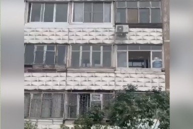 Итоги дня: трагедия у высотки, липовый диплом, тигр и медведь нападают на собак и человека