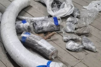 Итоги дня: бивни мамонта, Миссис Россия, избиение пациента, спор аборигенов