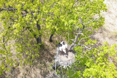 Итоги дня: смертельное ДТП с мотоциклистом, антибиотик в мясе, Перевезенцев о выборах