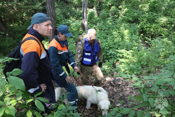 Пропавших в природной среде искали в Хабаровском крае