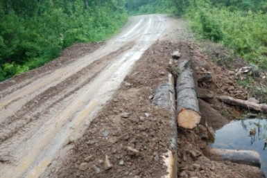 Итоги дня: встретили в Фуюане, ДТП с поездом, слияние с ТОГУ, этноактивист устал
