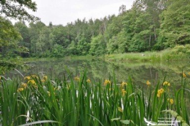 Итоги дня: День России, Фитнес-движ на набережной, прогноз погоды