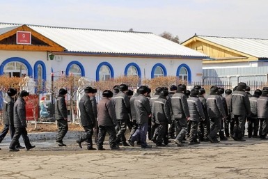 Итоги дня: Кравчук отстранил заммэра, снова на все 100, пес прокусил щеку ребенку