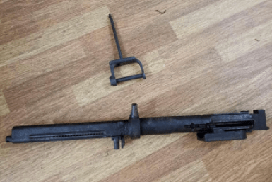 Итоги дня: трагедия у высотки, липовый диплом, тигр и медведь нападают на собак и человека