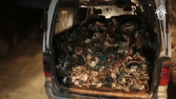 В Магаданской области осудят трех браконьеров за вылов свыше 500 экземпляров краба