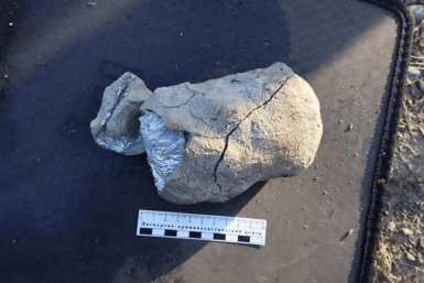 Итоги дня: Кравчук отстранил заммэра, снова на все 100, пес прокусил щеку ребенку