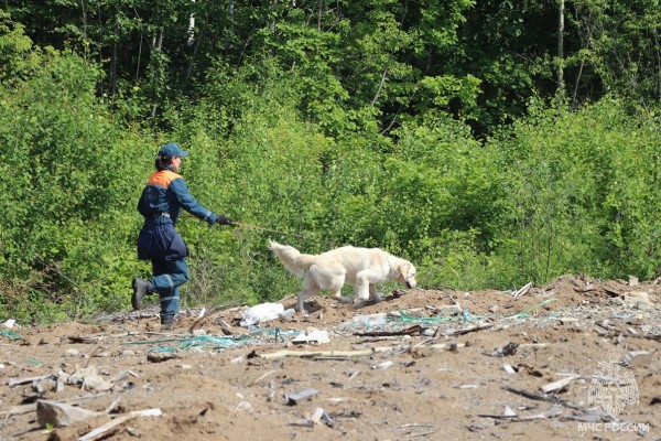 Пропавших в природной среде искали в Хабаровском крае