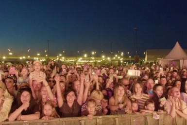 Итоги дня: трагедия у высотки, липовый диплом, тигр и медведь нападают на собак и человека