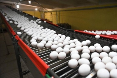 Итоги дня: смертельное ДТП с мотоциклистом, антибиотик в мясе, Перевезенцев о выборах